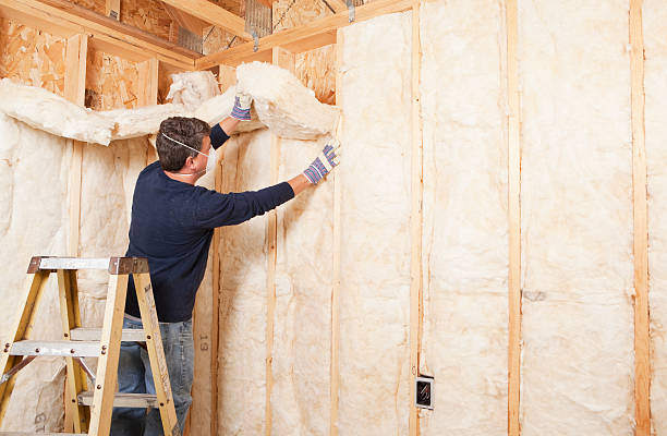 Professional Insulation Removal & Installation in Russiaville, IN